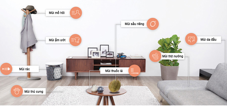 Odor Removal