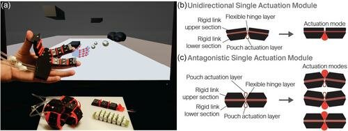aisy1753-fig-0001-m_png_75(1).jpg