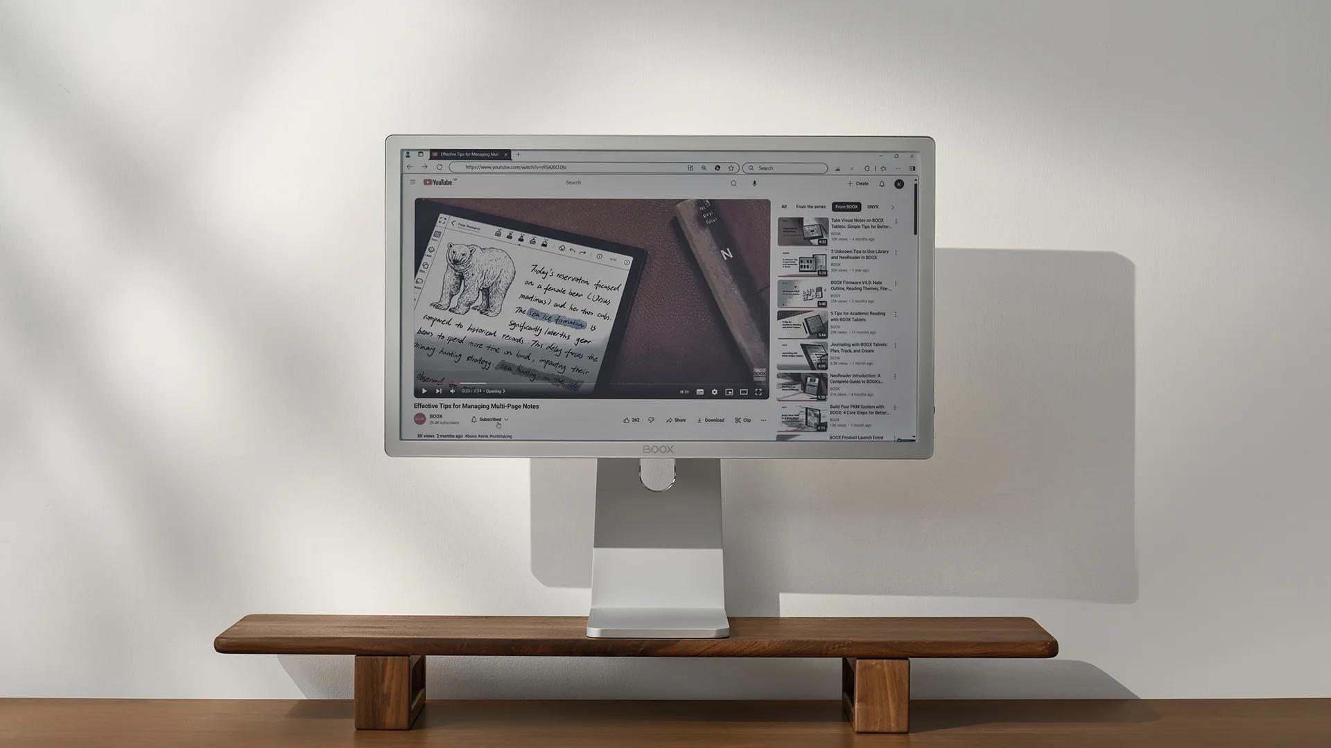 Màn hình E Ink màu 25,3 inch: Giải pháp thân thiện cho đôi mắt nhưng giá cả không hề dễ chịu - Ảnh 3.